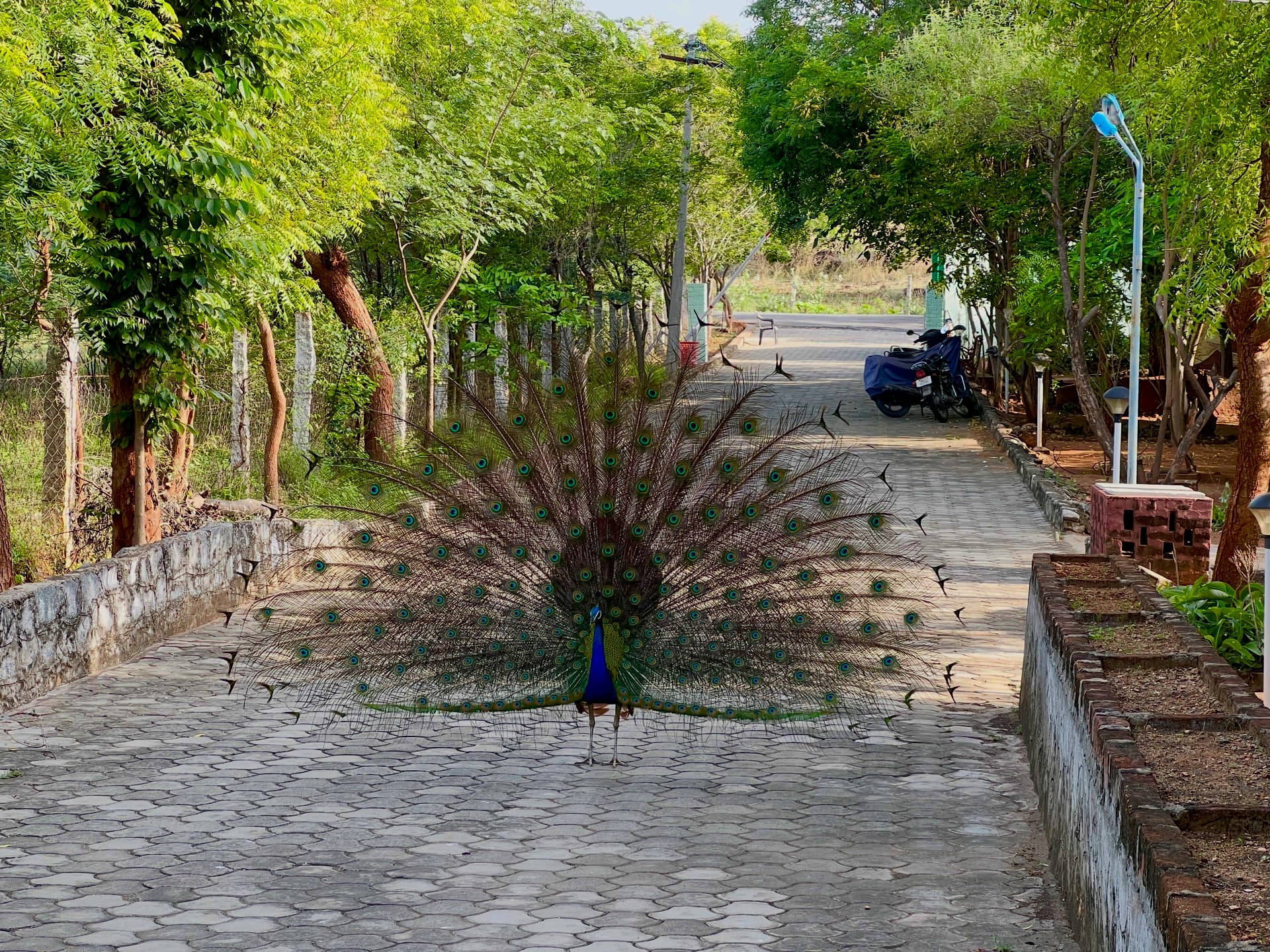 India 1